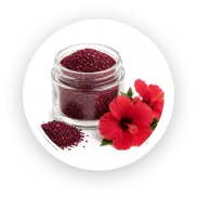 Hibiscus flowers