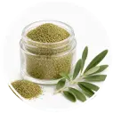 Olive leaves